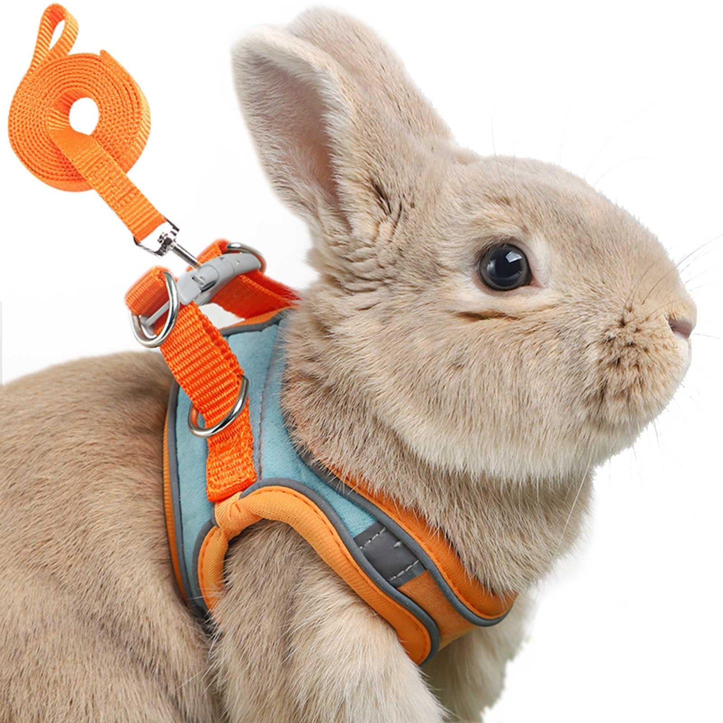 Adjustable Bunny Harness and Leash Set Double Buckle with Reflective Strips Rabbit Vest Pets Stuff Suitable for Rabbit Walks Accessories (Orange M)